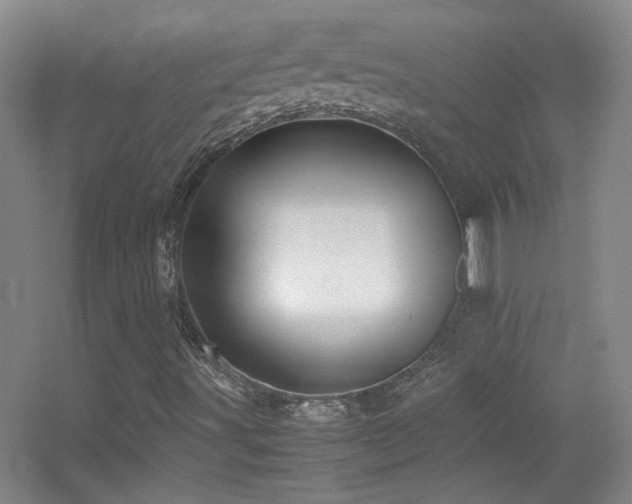 X0000055511491200508121003