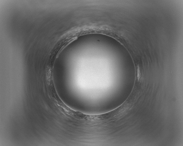 X0000055511492200508121003