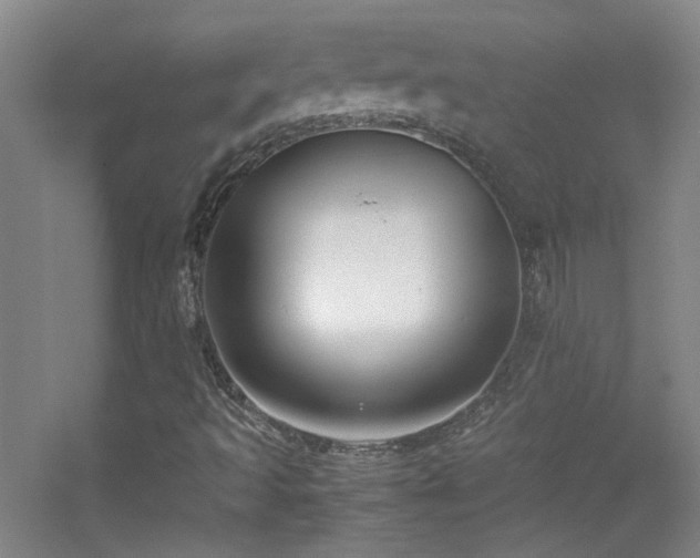 X0000055511493200508121003