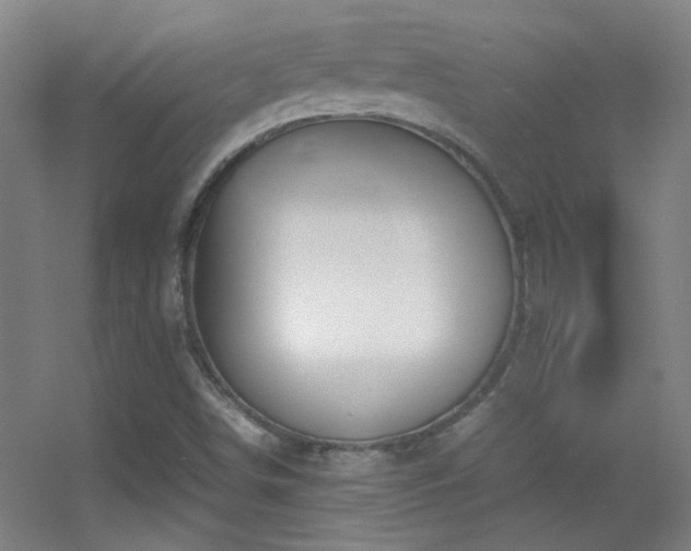 X0000055511498200508121003