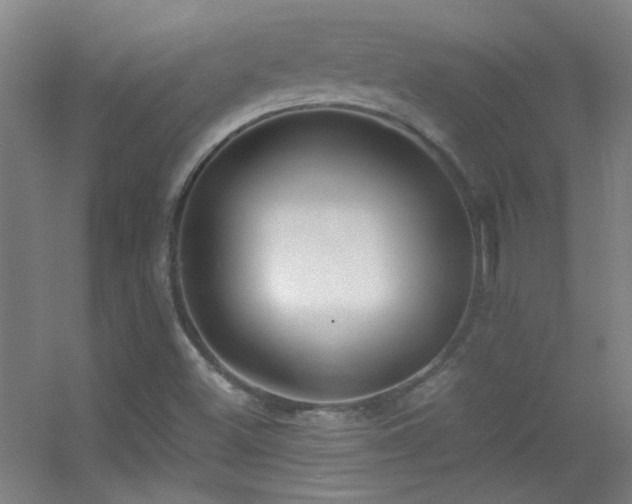 X0000055511500200508121003