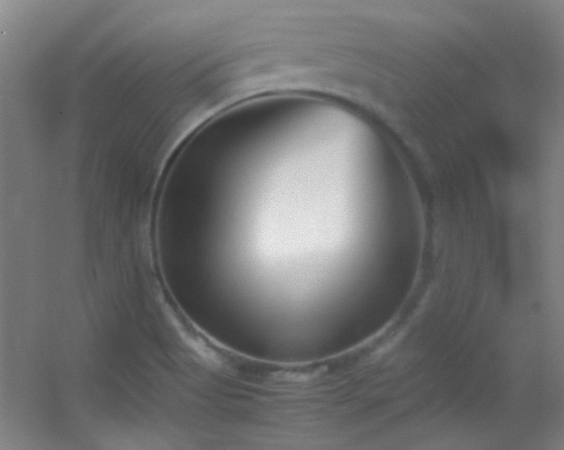 X0000055511513200508121003