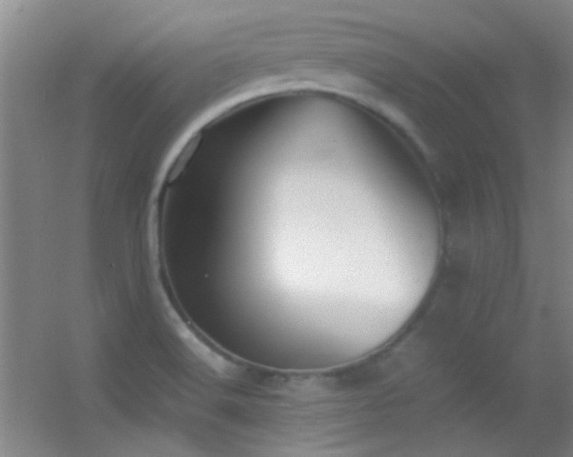 X0000055511516200508121003