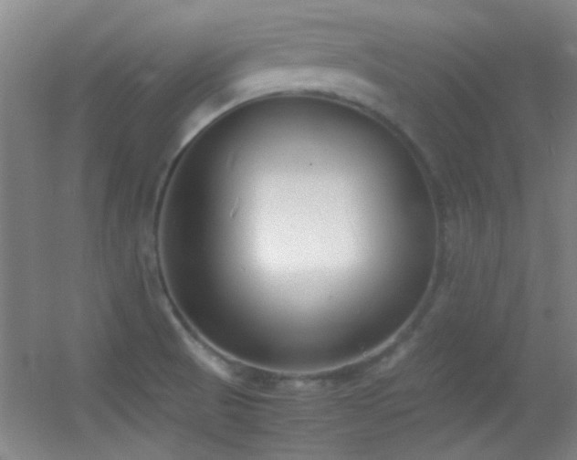 X0000055511521200508121003