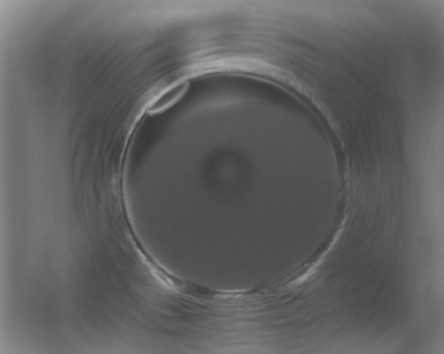 X0000055511529200508121004