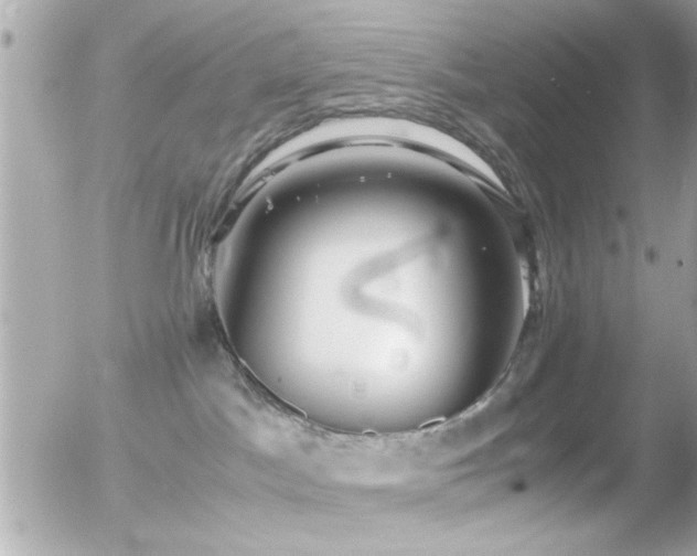 X0000055510045200508151415