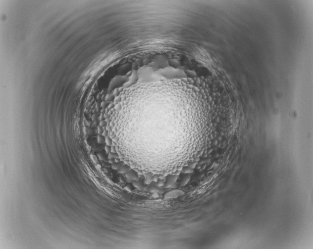 X0000055510050200508151415