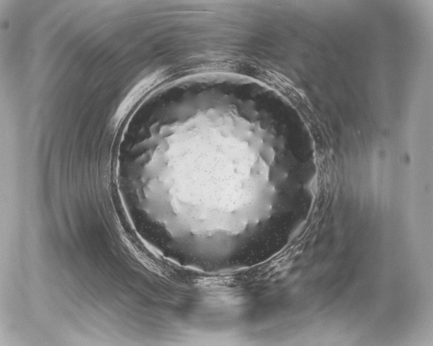 X0000055510051200508151415