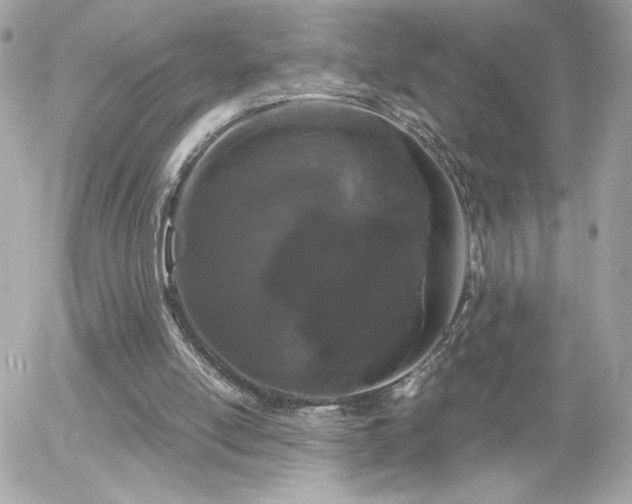 X0000055510054200508151415