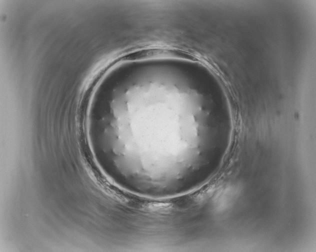 X0000055510055200508151415