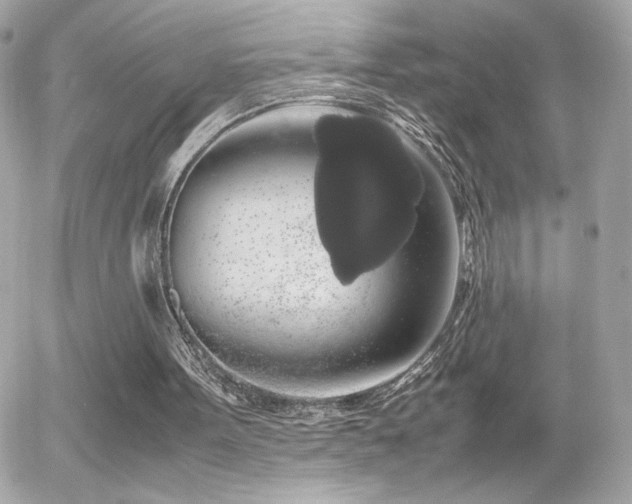 X0000055510099200508151414