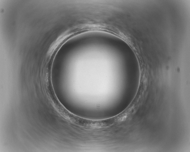 X0000055510103200508151414