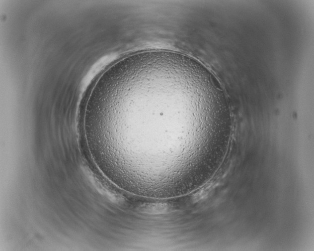 X0000055510104200508151414