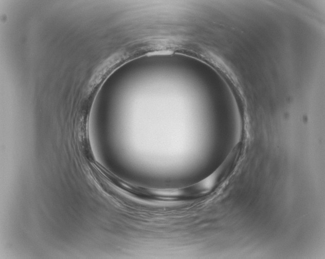 X0000055510105200508151414