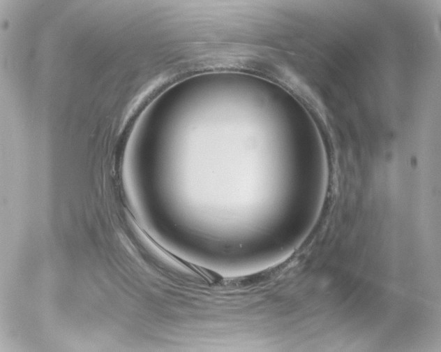 X0000055510107200508151414