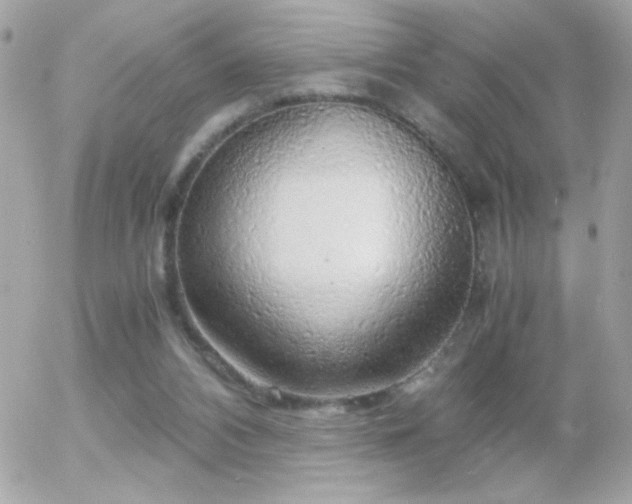 X0000055510112200508151414