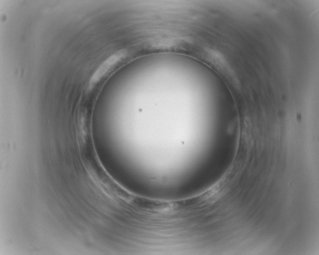 X0000055510116200508151414