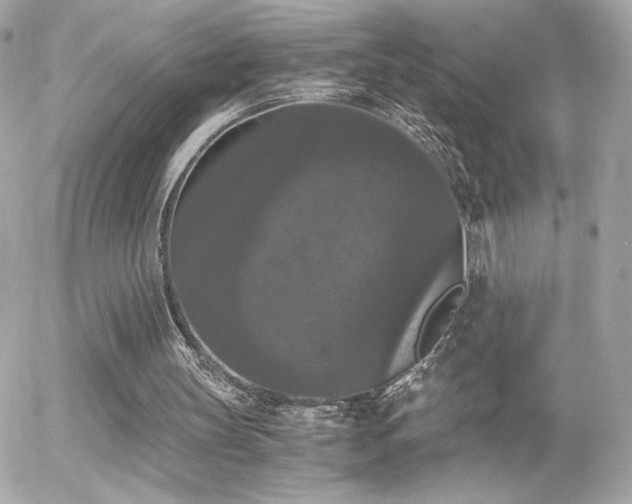 X0000055510147200508151413