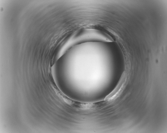 X0000055510192200508151414