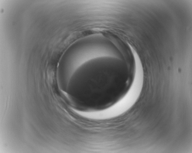 X0000055510227200508151412