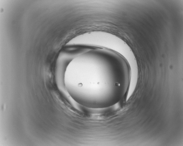 X0000055510237200508151412