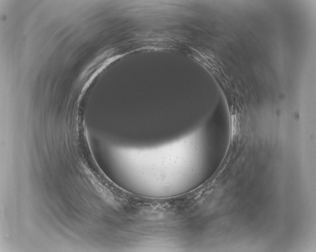 X0000055510243200508151411