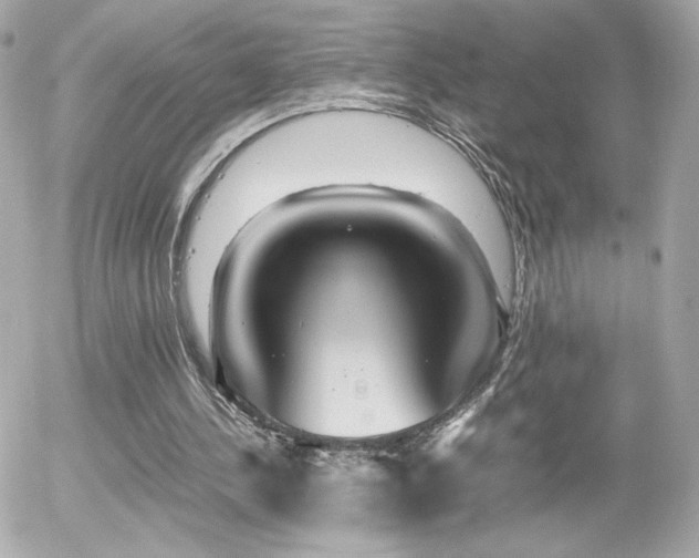 X0000055510244200508151411
