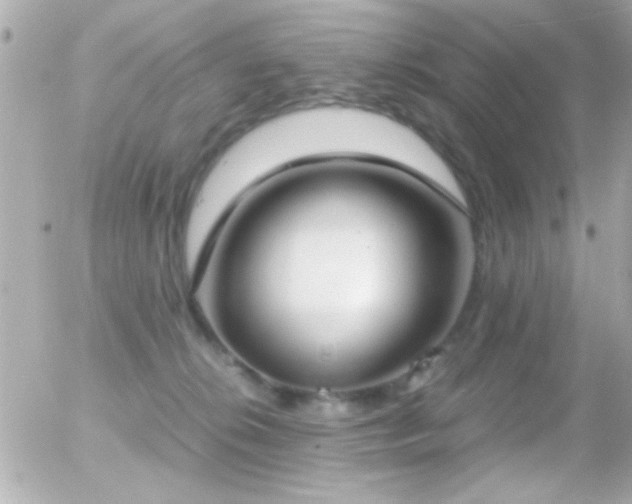 X0000055510276200508151412