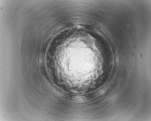 X0000055510277200508151412