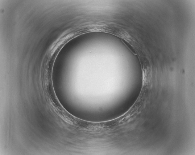X0000055510291200508151411