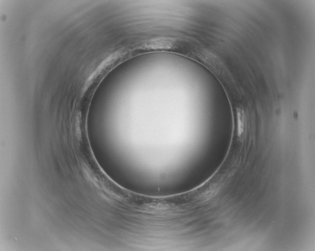 X0000055510300200508151411