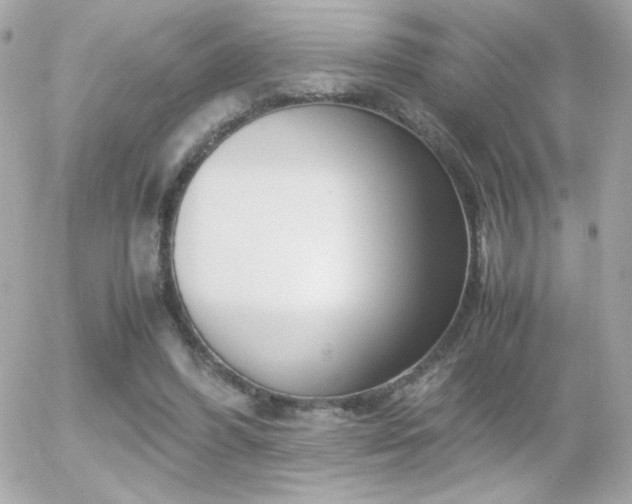X0000055510396200508151409