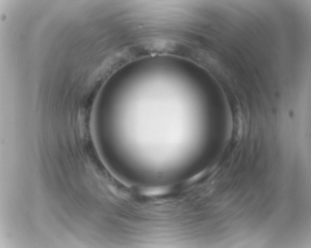 X0000055510416200508151409