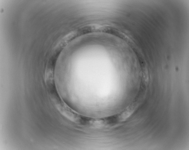 X0000055510419200508151409