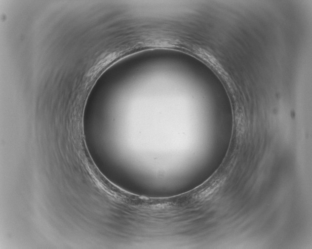 X0000055510433200508151408