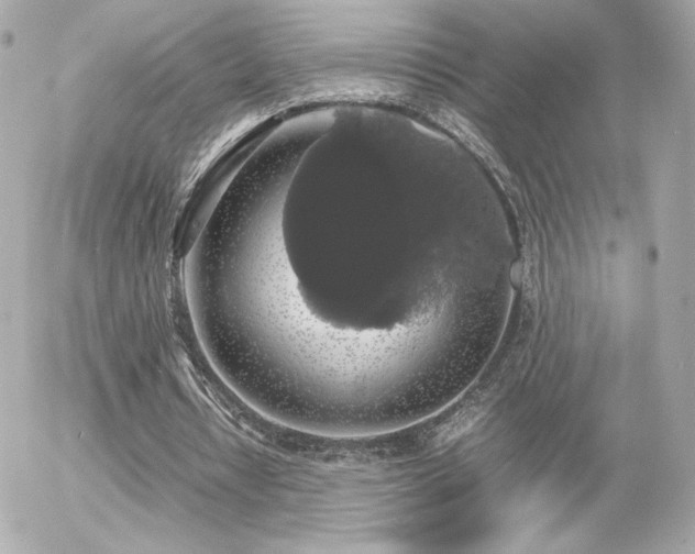 X0000055510434200508151408