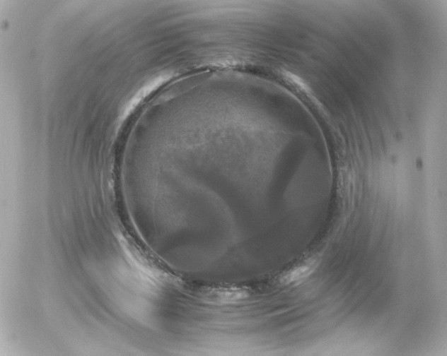 X0000055510443200508151408