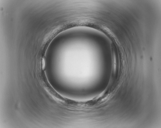 X0000055510493200508151408