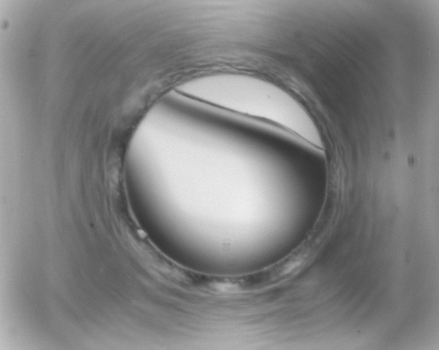 X0000055510509200508151408