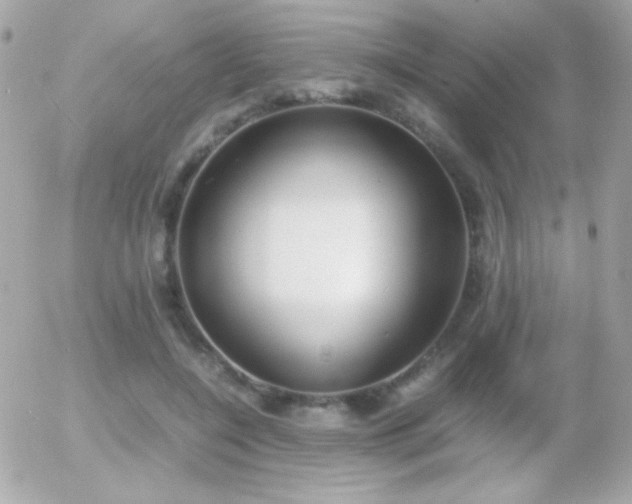 X0000055510548200508151404
