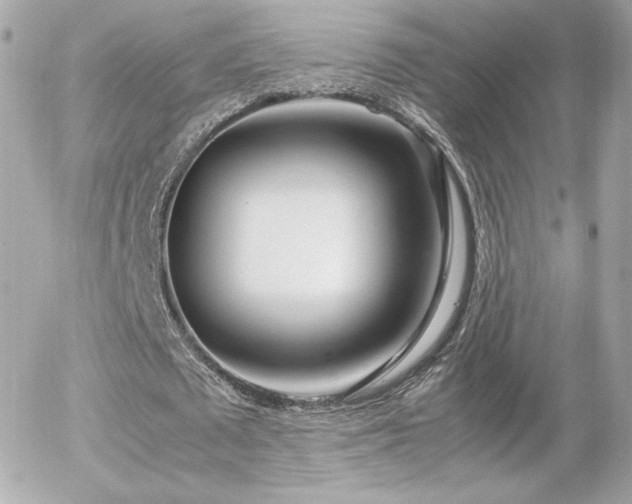 X0000055510673200508151401