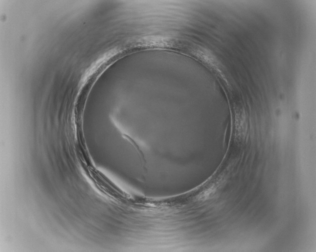 X0000055510674200508151401