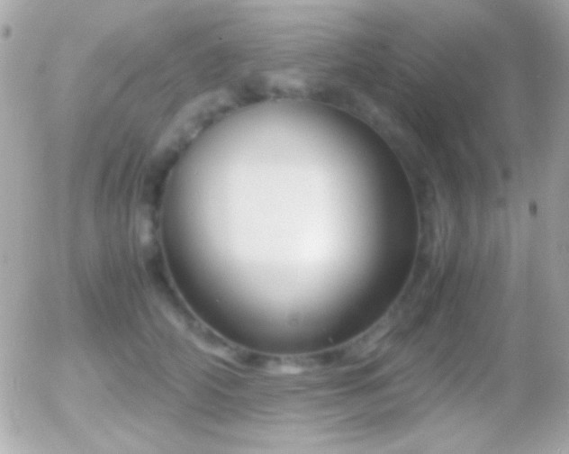 X0000055510706200508151400