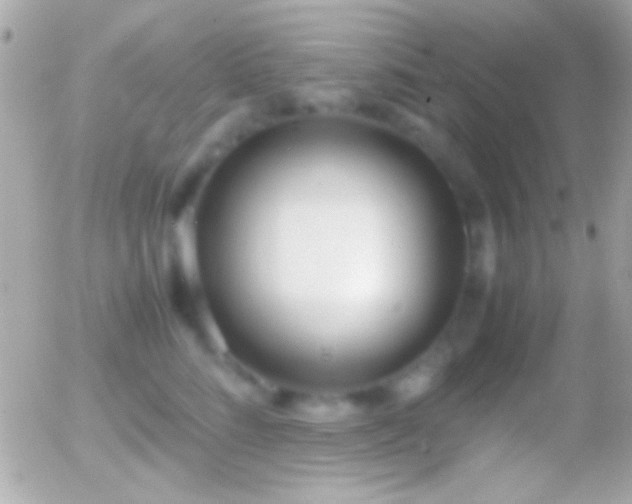 X0000055510712200508151400