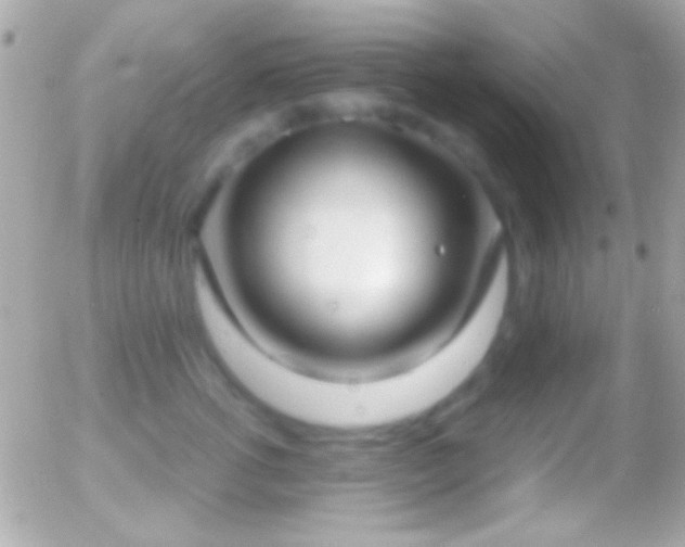 X0000055510762200508151400
