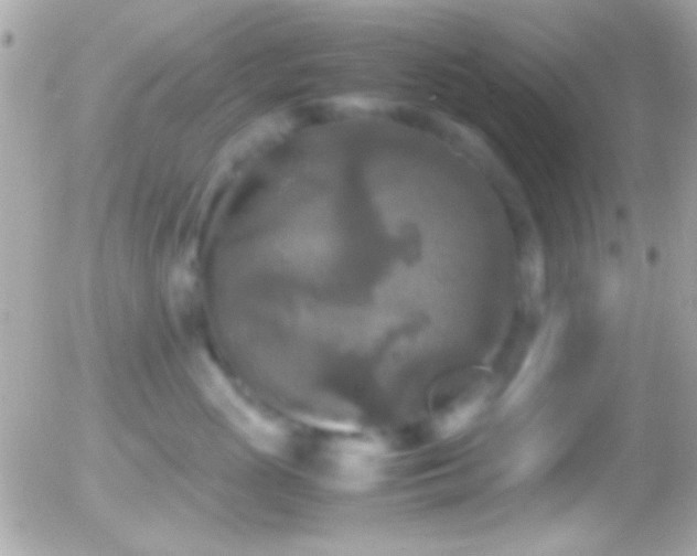 X0000055510765200508151400