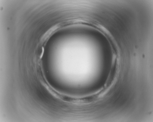 X0000055510793200508151359