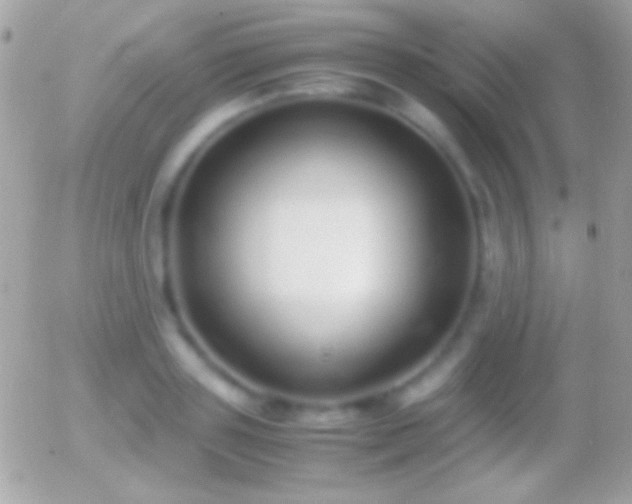 X0000055510843200508151358