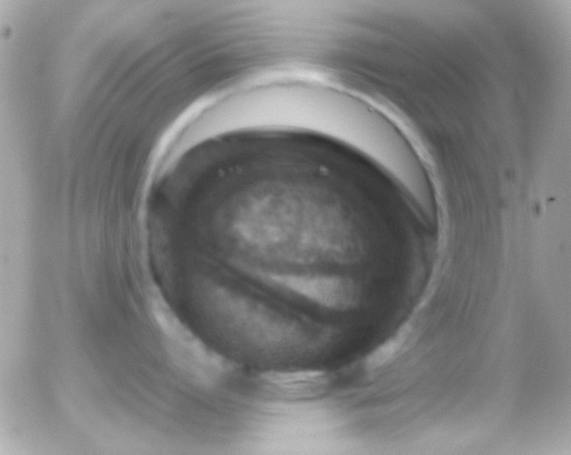 X0000055510864200508151358