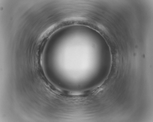 X0000055510872200508151357